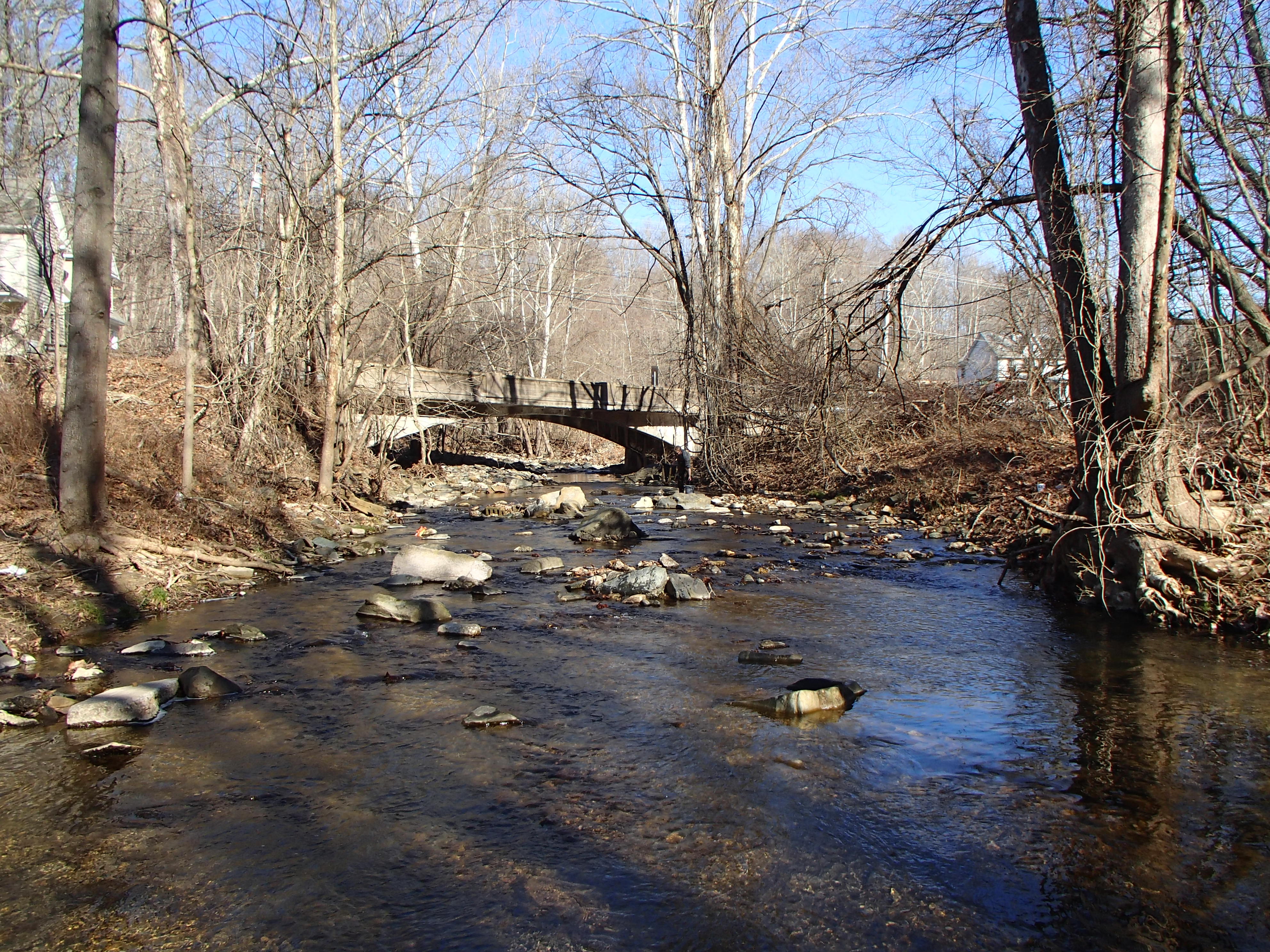 Field photo showing stream conditions at site PATL-209-X-2016_midpoint looking upstream